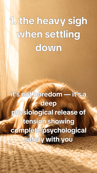 Signs your dog is happier than you think — slide 2