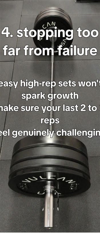 Slideshow — slide 5